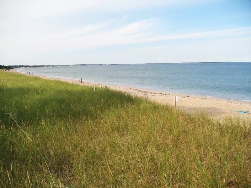 Ferry Beach State Park - Visit Maine