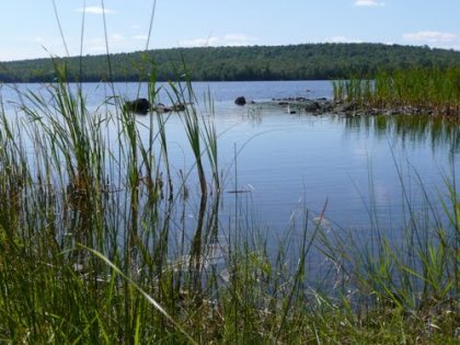 Danforth Downeast Acadia Regional Tourism