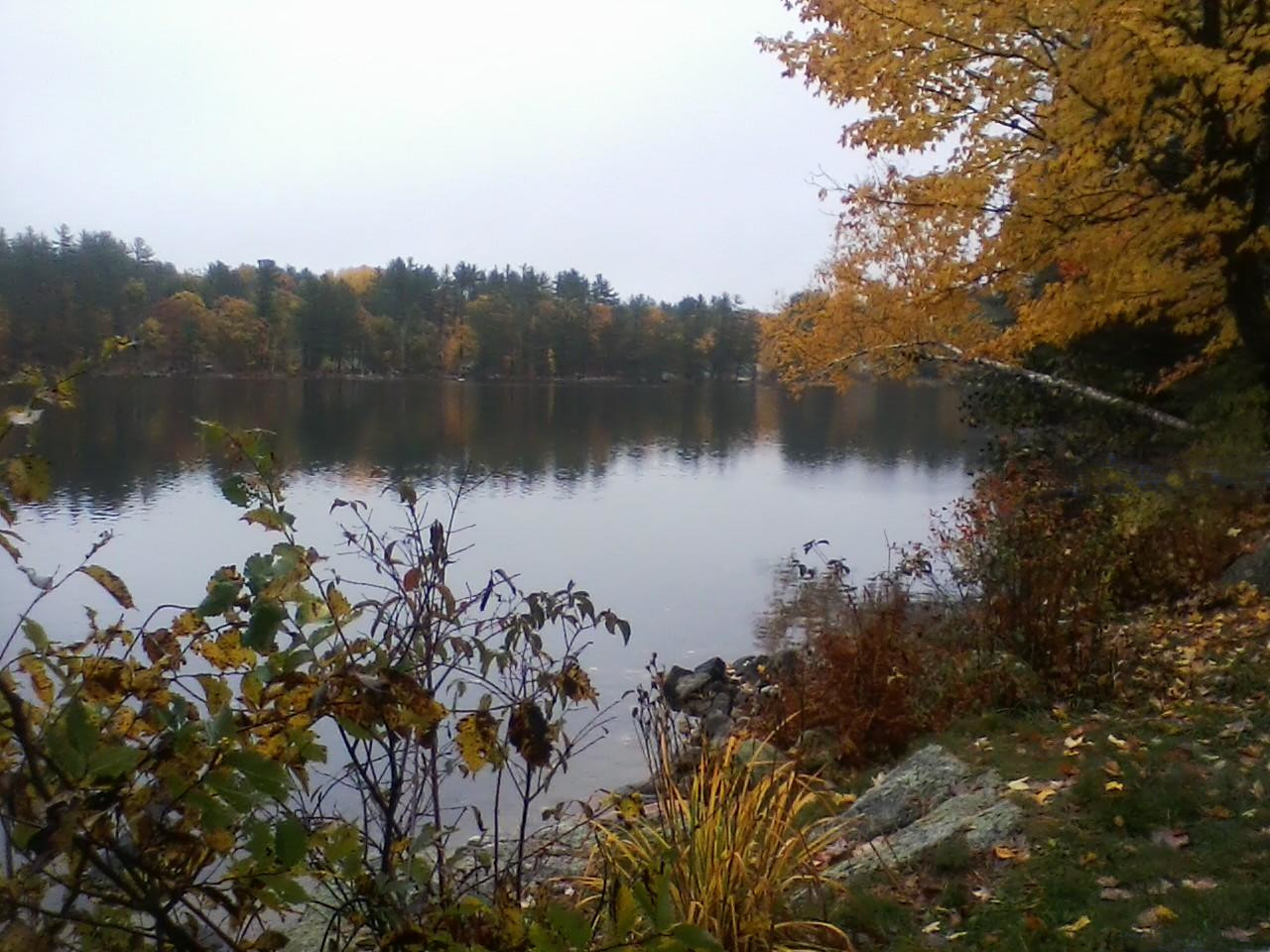 Fall colors at the cottage