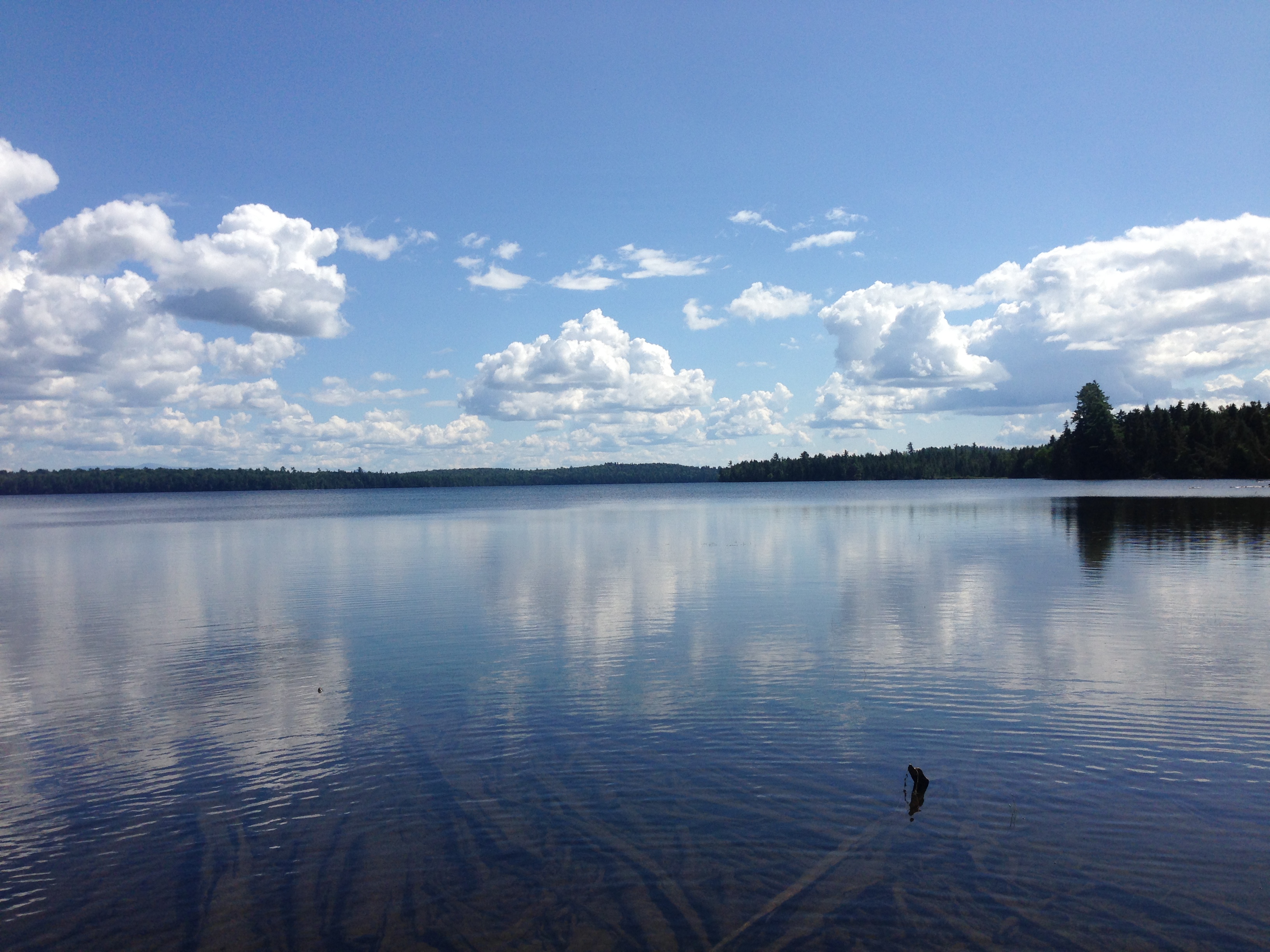 Remote Lake in the North Maine Woods