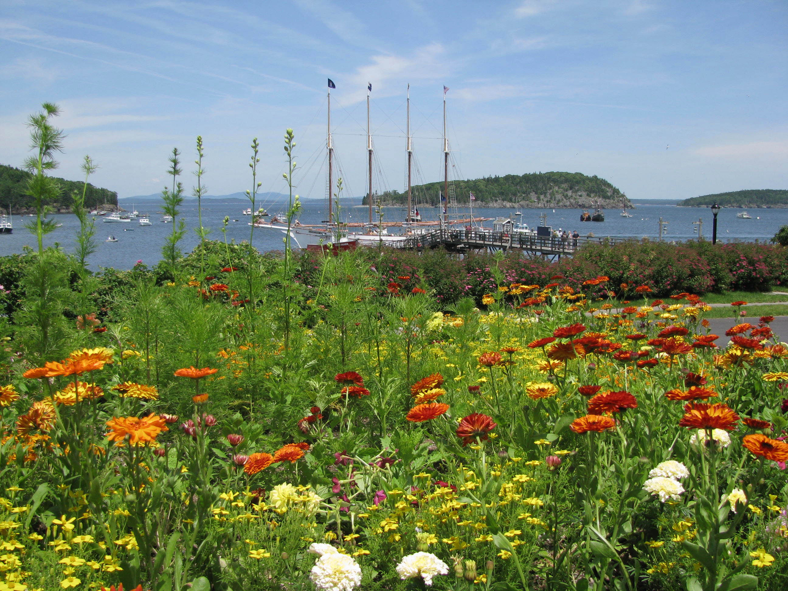 Bar Harbor Downeast Maine - visit our Photo Album at www.VisitMaine.net to see many more
