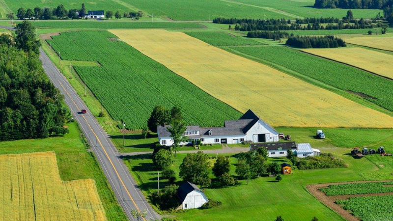 A patch work of forests and farmland make for an exciting landscape to traverse!