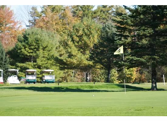 #9 Green