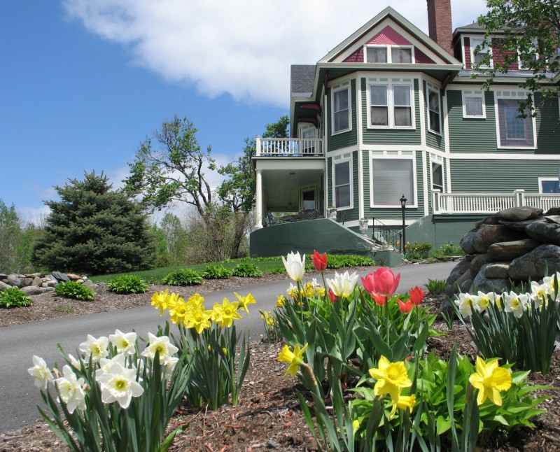 The Greenville Inn's 5 acre estate is bursting with blooms!