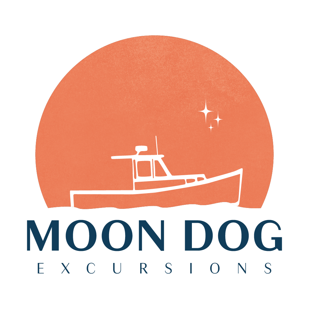 Moon Dog Excursions