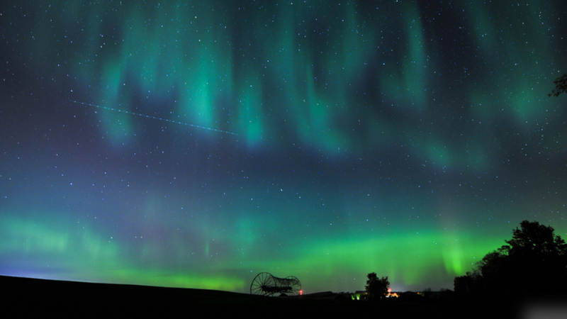 a painting of the aurora bore in the night sky with trees in the fo