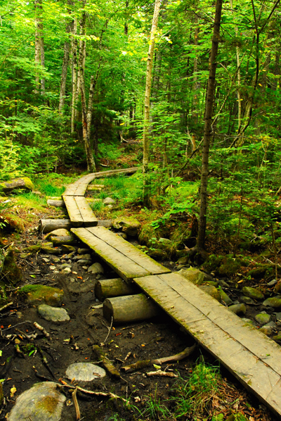 Escape to the Wild: Your Guide to Maine's Rangeley State Park