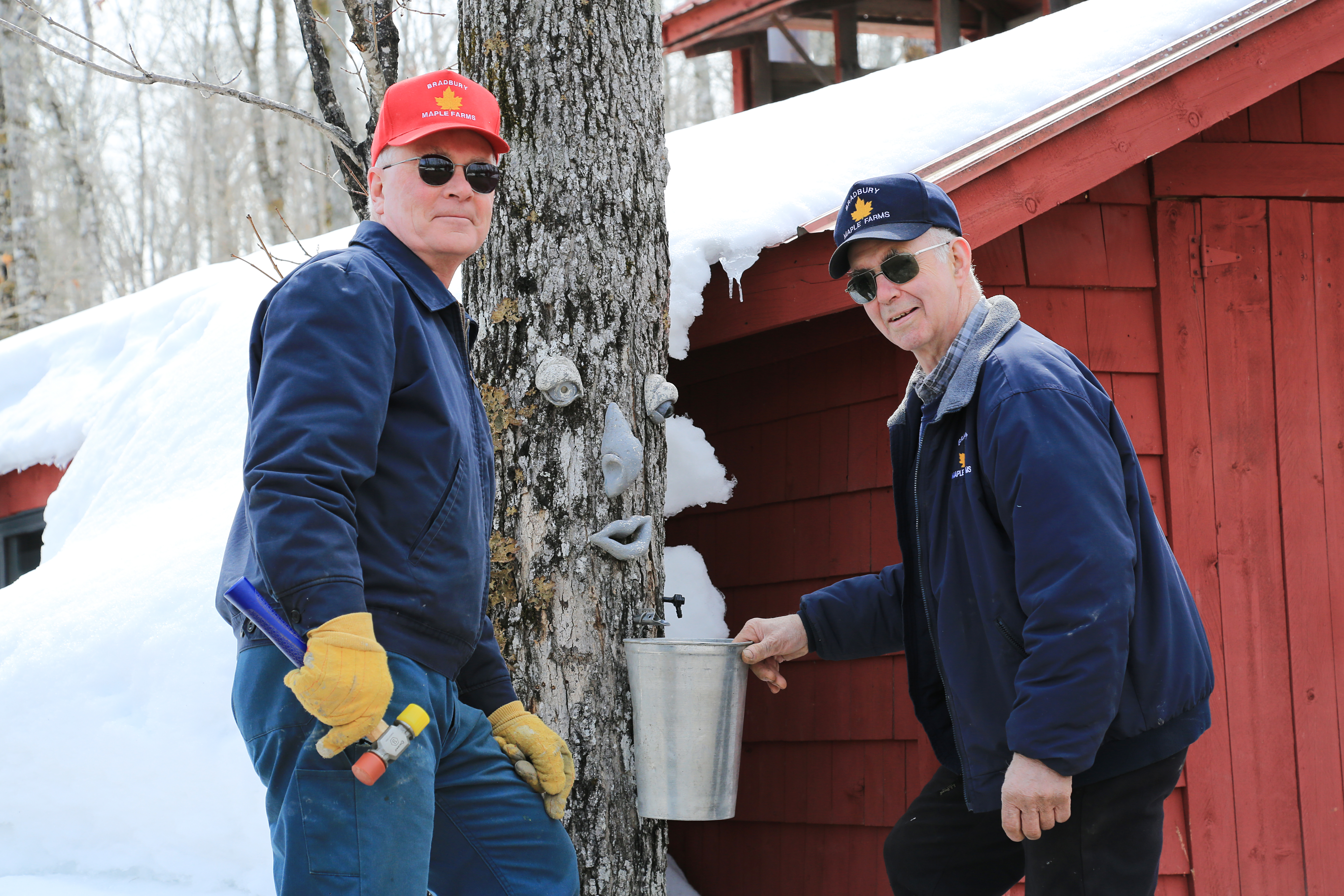 Maple is a family tradition for Bradbury Maple Farm in Bridgewater - Credit: Michael Gudreau