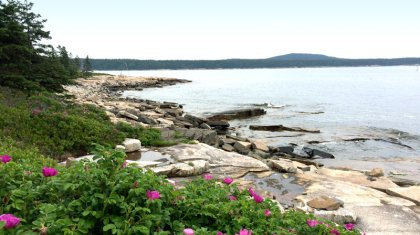 Sand Beach Downeast Acadia Regional Tourism
