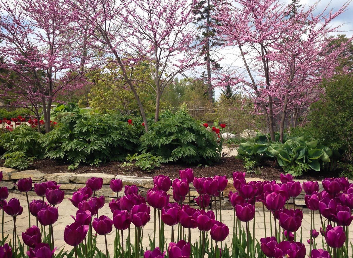 Coastal Maine Botanical Gardens