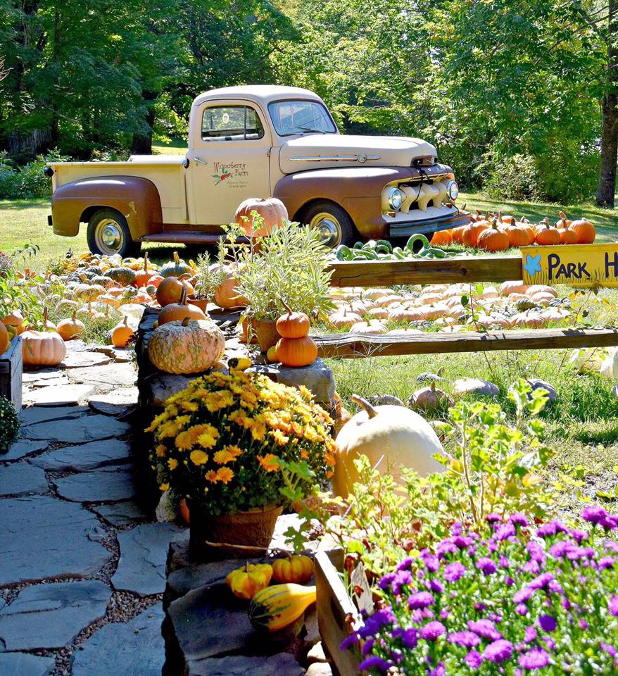 Winterberry Farm - Visit Maine