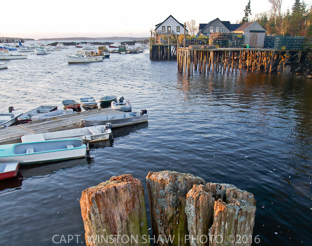 Lobster Wharf
