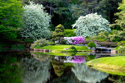 Asticou Azalea Garden