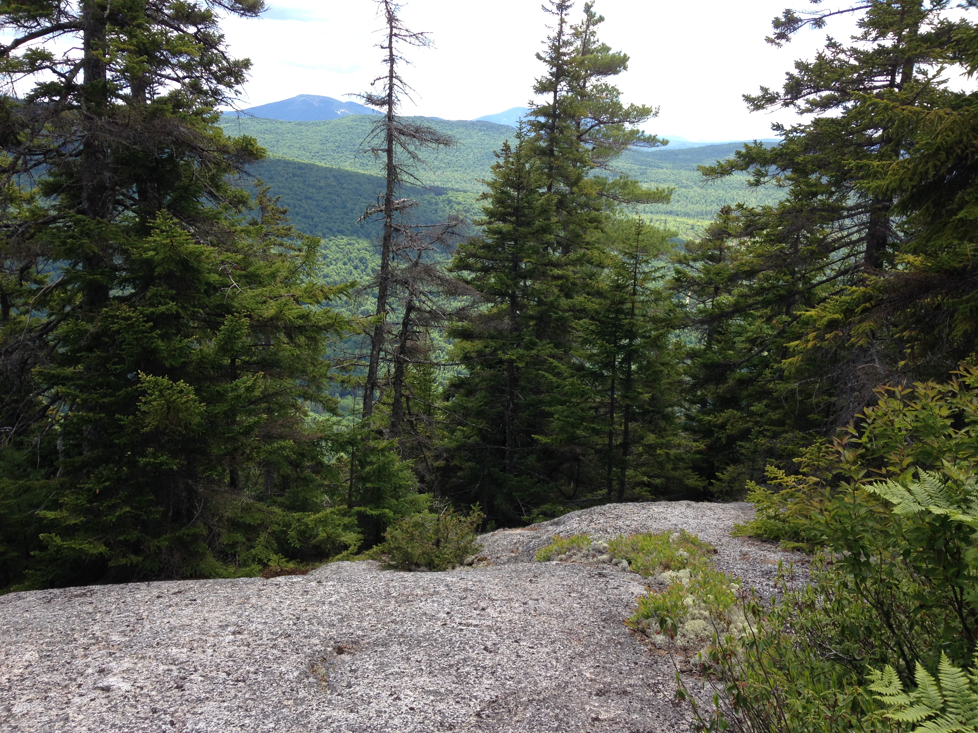 Top of C Bluff, a favorite hike