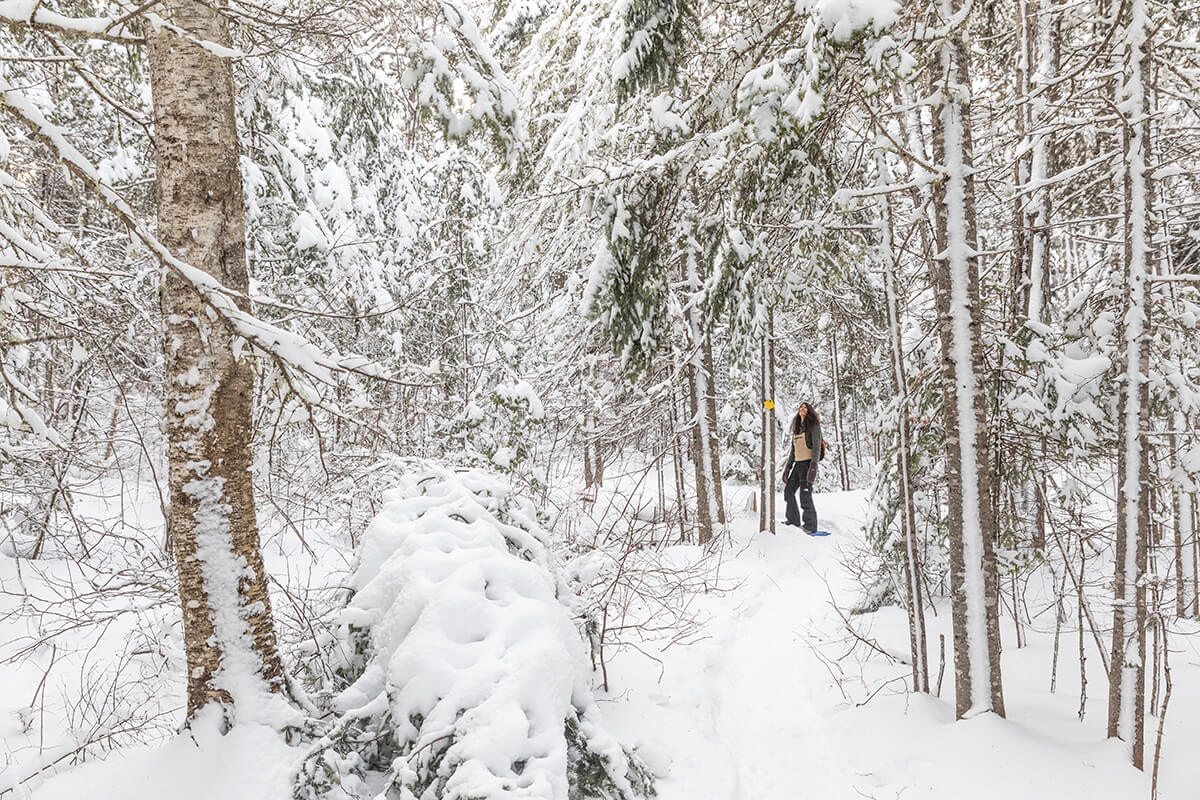 Winter in the Kennebec Valley Visit Maine
