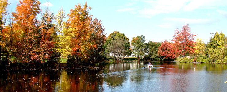 Jay, Livermore & Livermore Falls, Maine - Visit Maine - Visit Maine