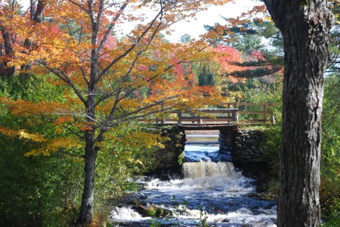 The dam on Blackman Stream.