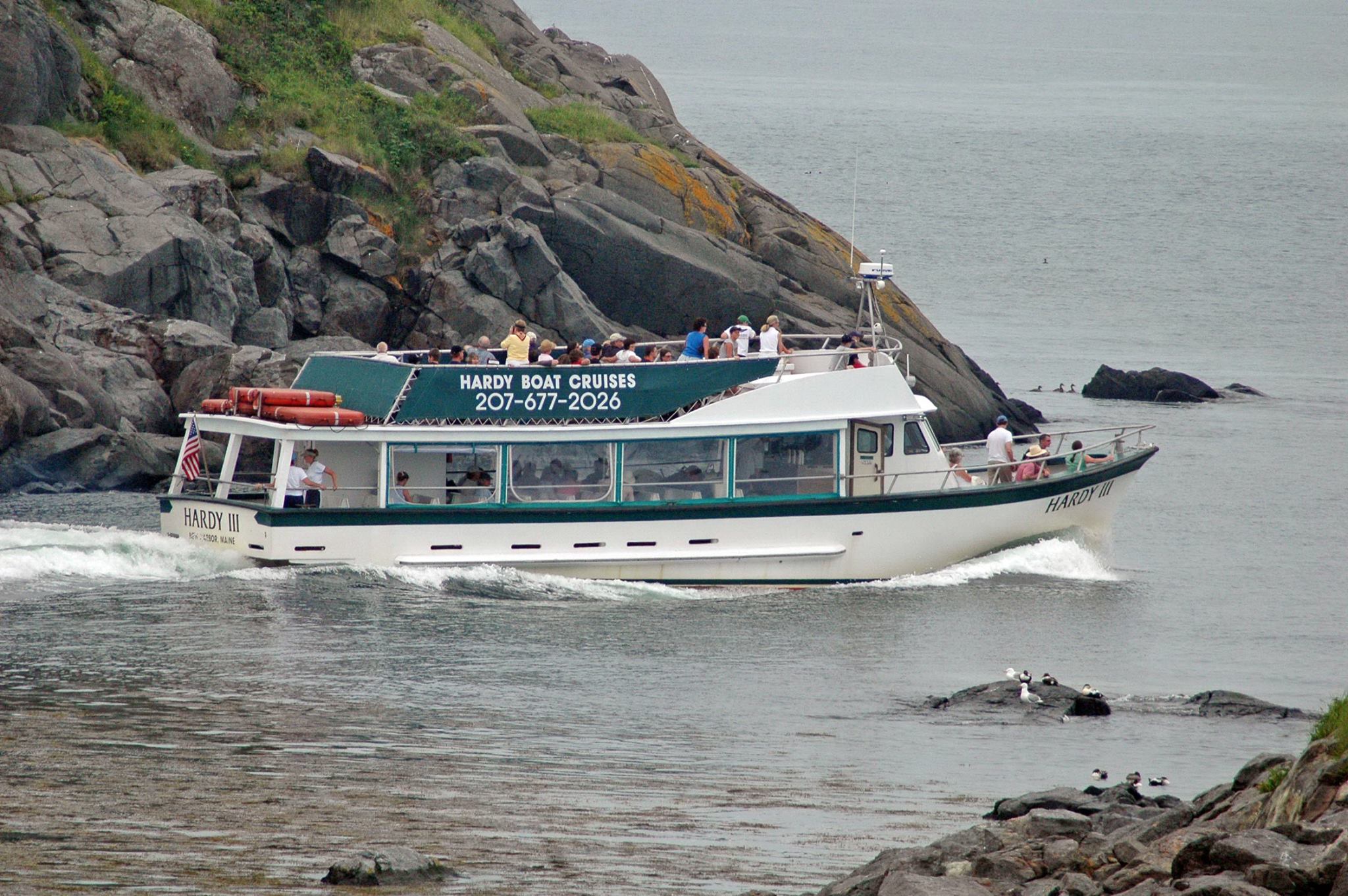 hardy boat cruises tours