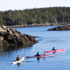 Summer - sea kayaking in Maine