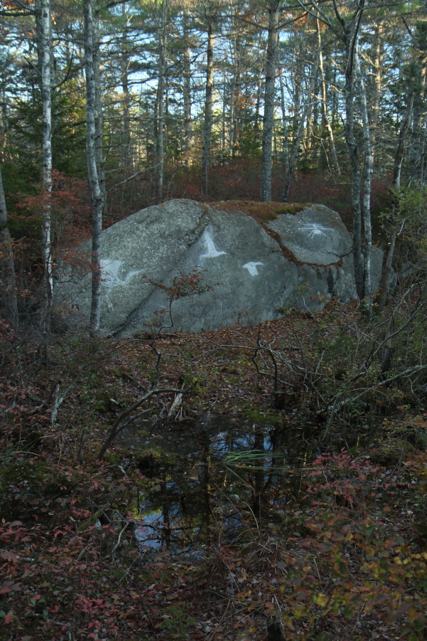 Contemporary Petroglyph (Rock Carving) Tour Led by Artist - Visit Maine