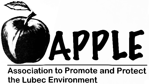 Arts and Culture in the Lubec Area - Educational & Enjoyment Opportunities