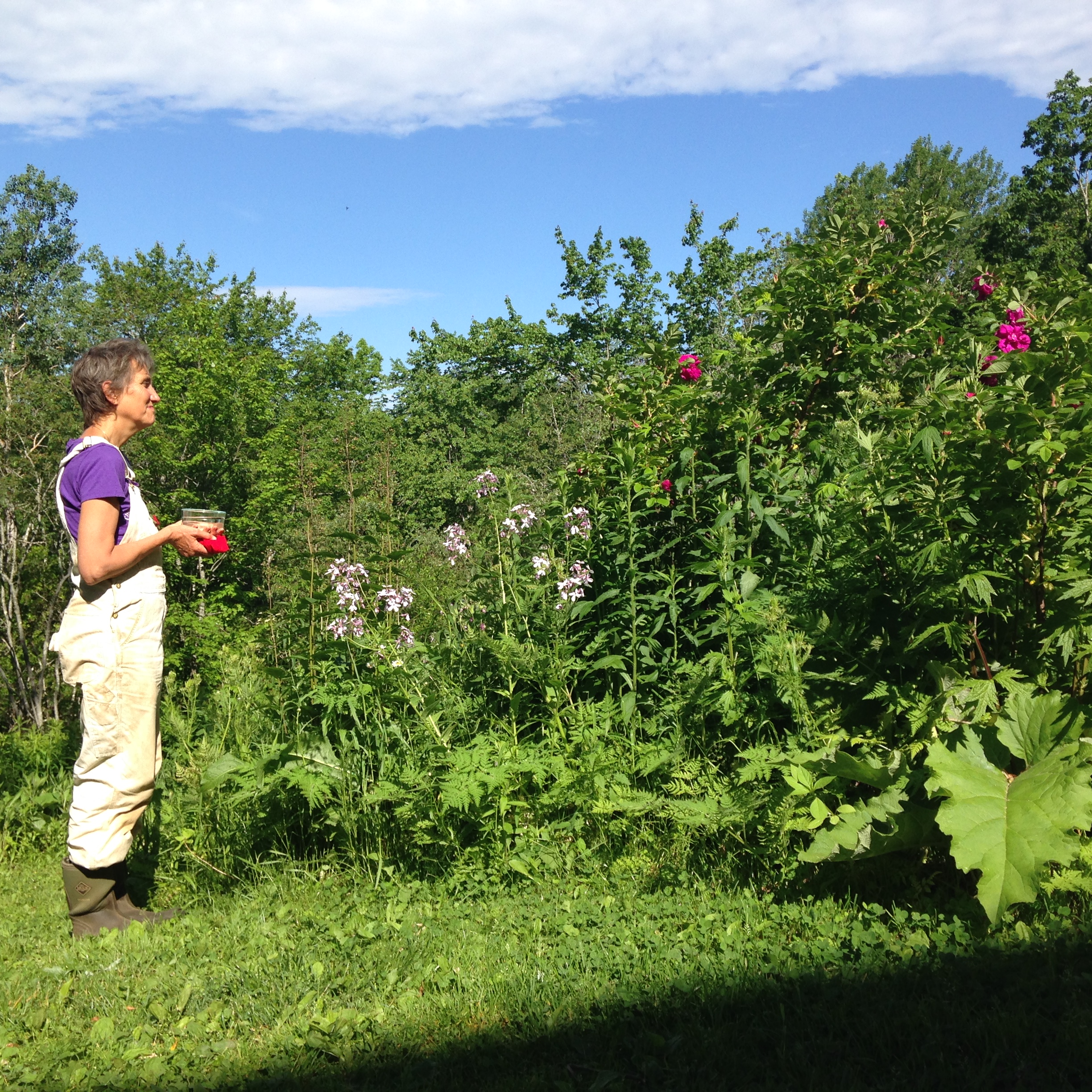 Offering gratitude for the plants, their beauty and healing properties.