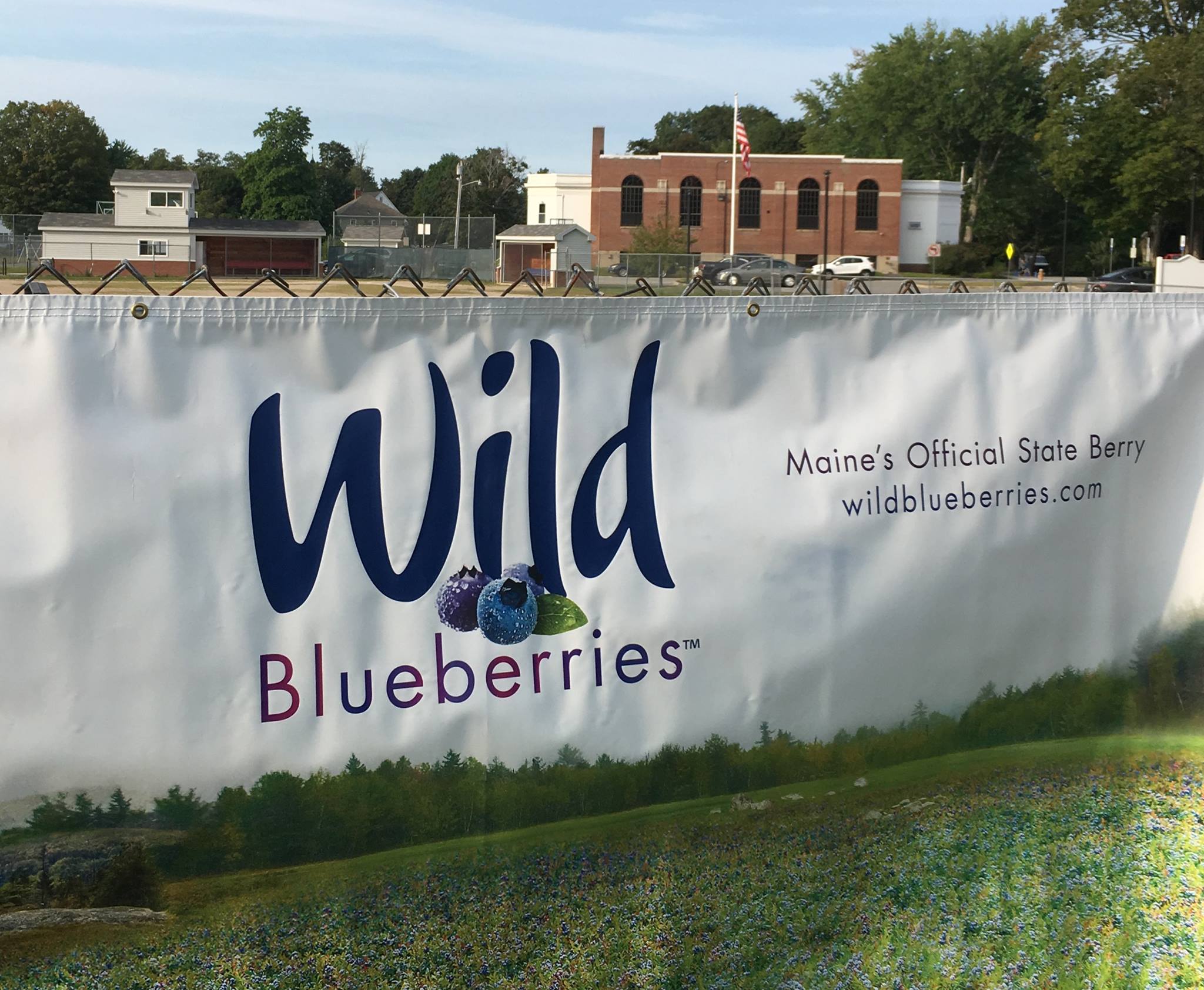 Gray Blueberry Festival Visit Maine