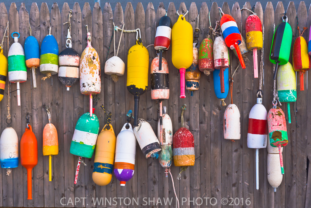 Lobster Buoys