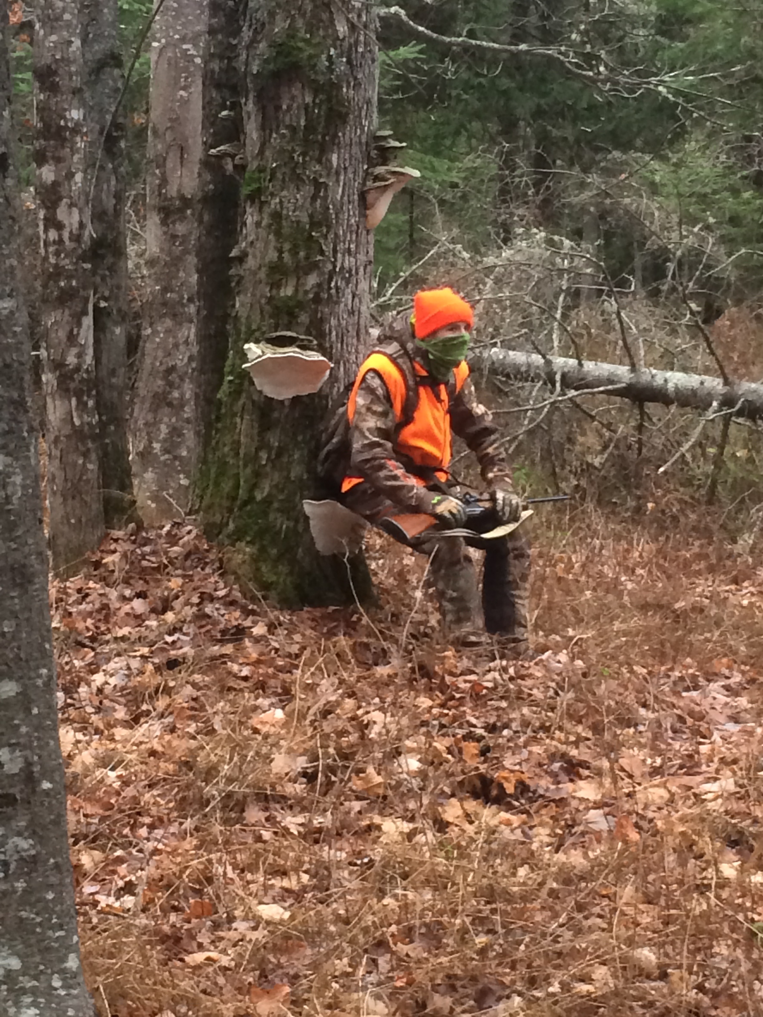 Caleb patiently waiting in the woods!