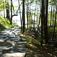 Spring - Wolf's Neck, Maine