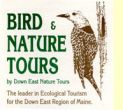 Birding Cruise with Michael Good