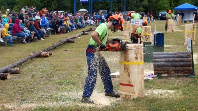 Forest Heritage Days