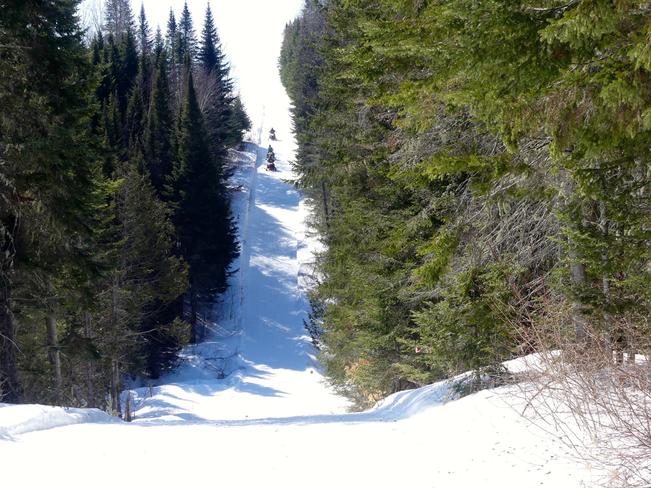 The border trail is a long straight trail in most parts.