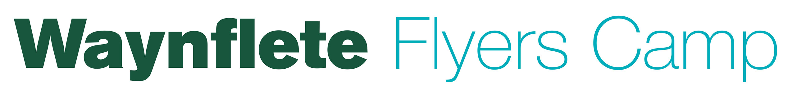 Waynflete Summer Programs