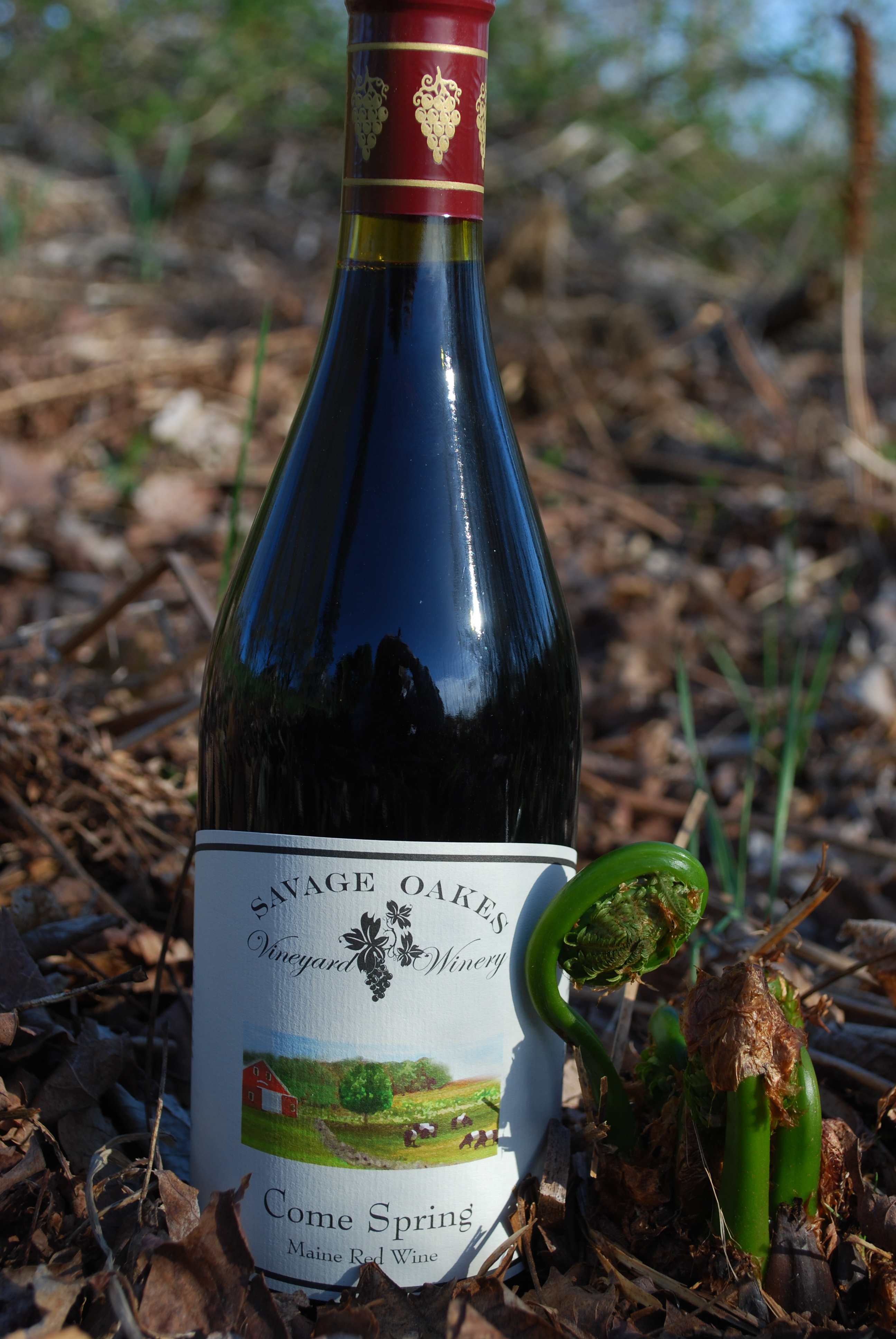 Savage Oakes Vineyard and Winery Visit Maine