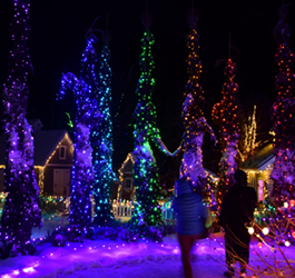Gardens Aglow at Coastal Maine Botanical Gardens