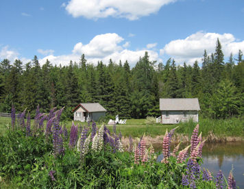 Sunrise Cottages & Breakfast Shed