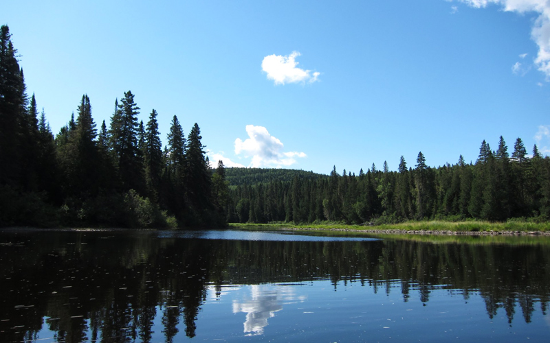 Allagash Wilderness Waterway Visit Maine   A246618e 3b9b 47e8 Bea0 8a150f31d15f Vtm75b77f0fadecac71c 