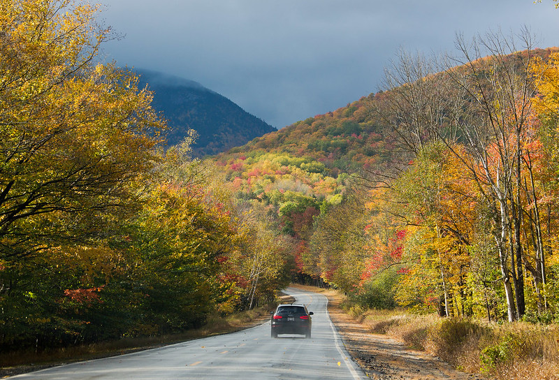 Natural direction  After more than 40 years with one of Maine's