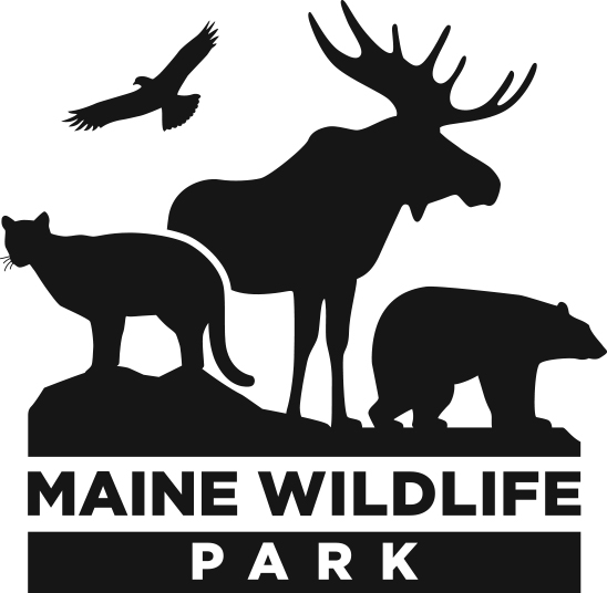 New England Mineral Association