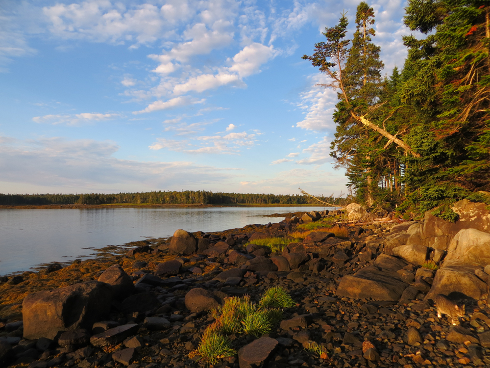 x 9 64 DownEast Bikeway Coast  Regional Tourism Bold Acadia  Scenic