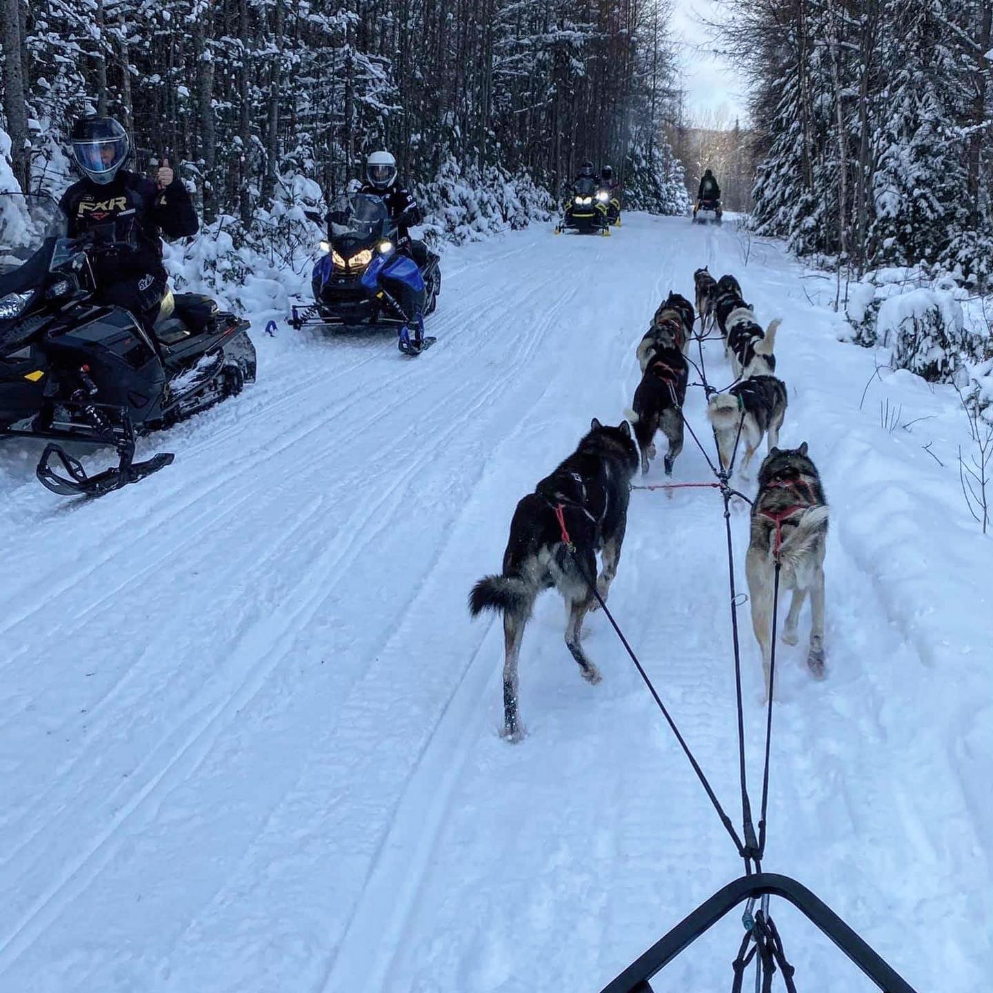 The ITS Trail System is a multi-use trail. Ride right. Remember dog sleds, skiers, and bikers can hear your snowmobile or atv - but you can't hear them. Slow down and give space. 