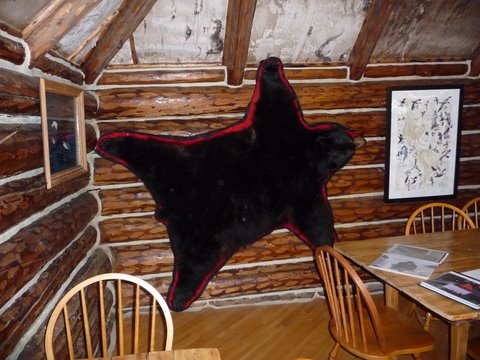 Bear Rug