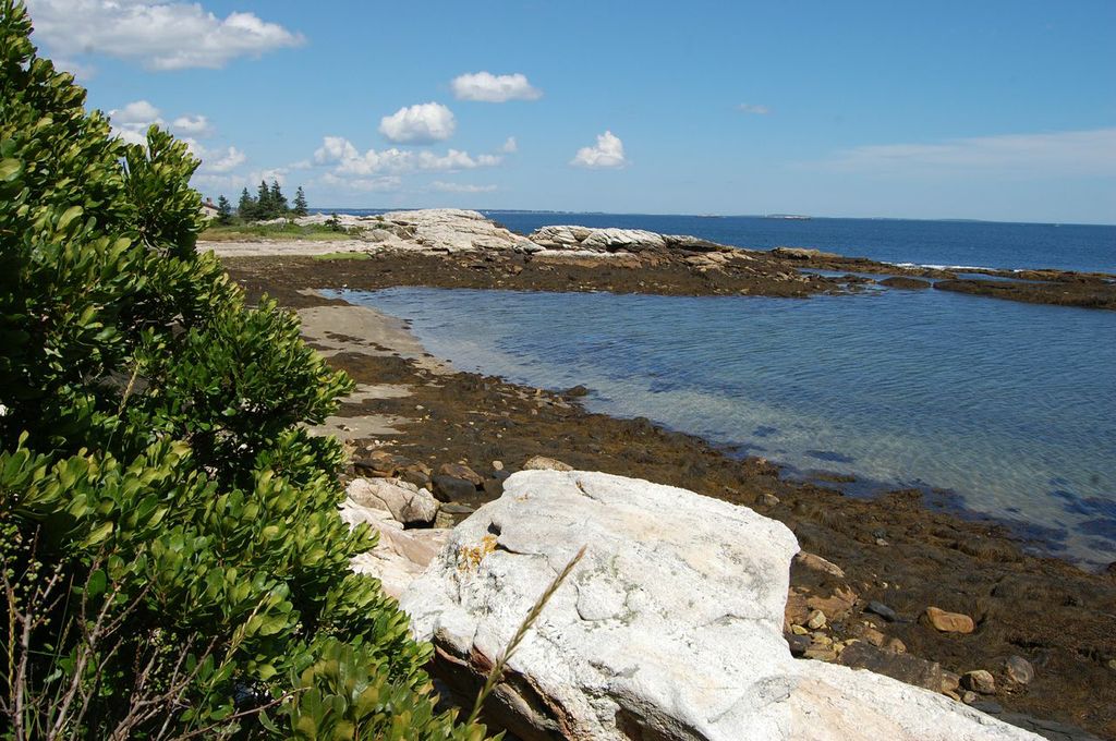 View from the bottom of the lawn, low tide