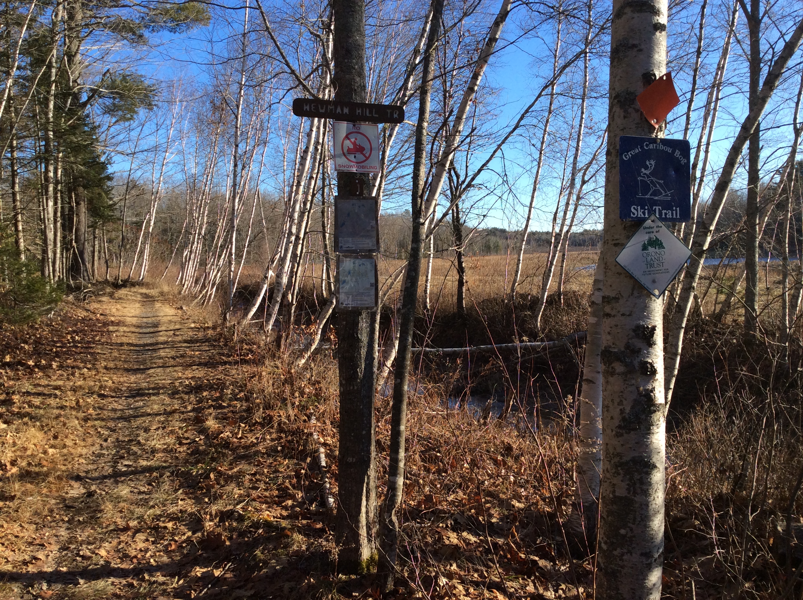 Many dedicated volunteers work to maintain access to the properties of the Caribou Bog Caribou Bog Conservation Area (CBCA).