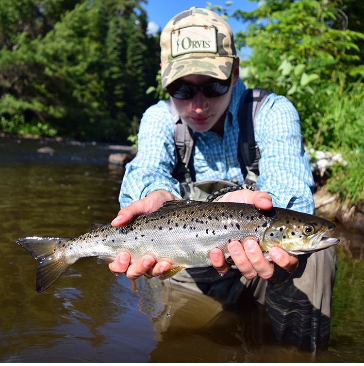 Beautiful salmon from the Roach River.
