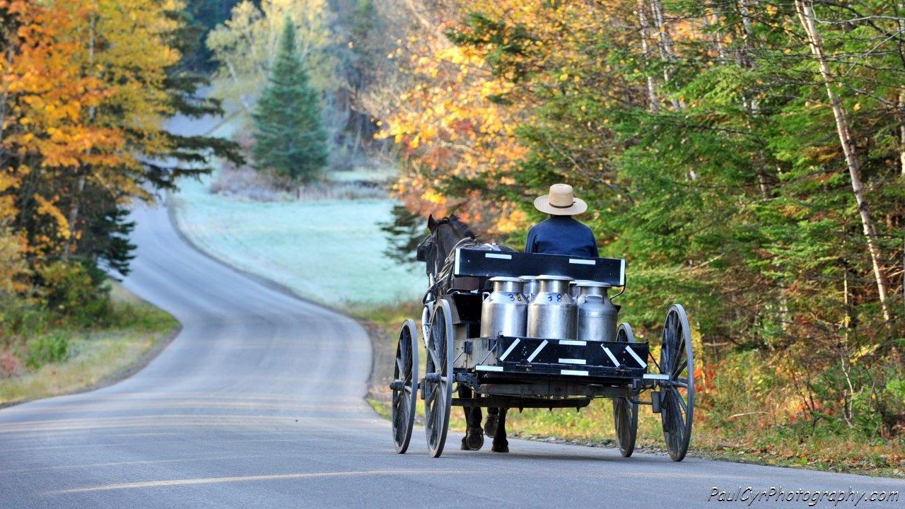 Amish | Maines Aroostook County