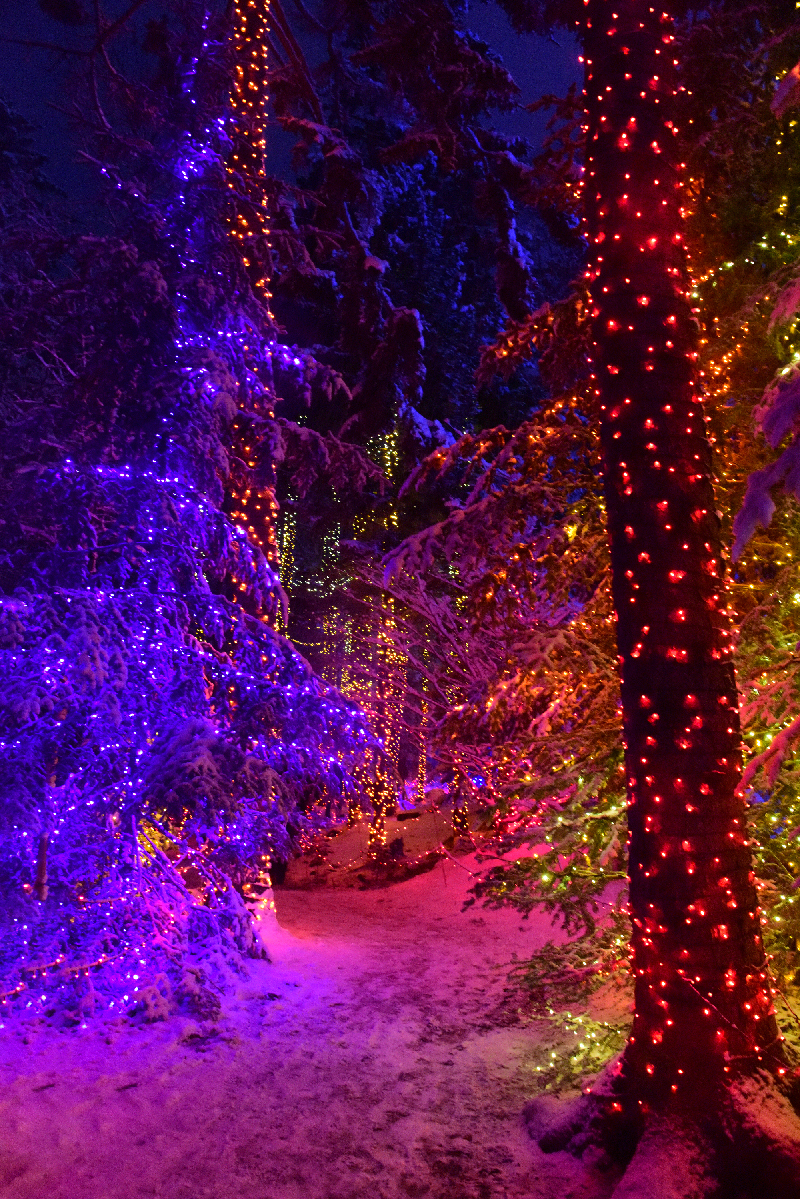 Gardens Aglow at Coastal Maine Botanical Gardens