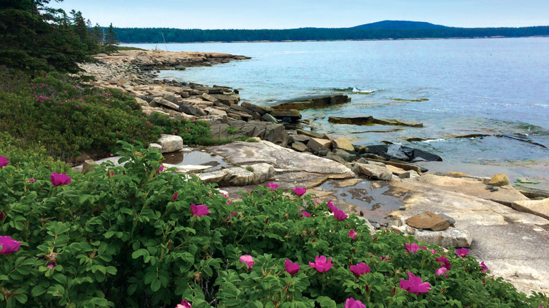Schoodic to Jonesport
