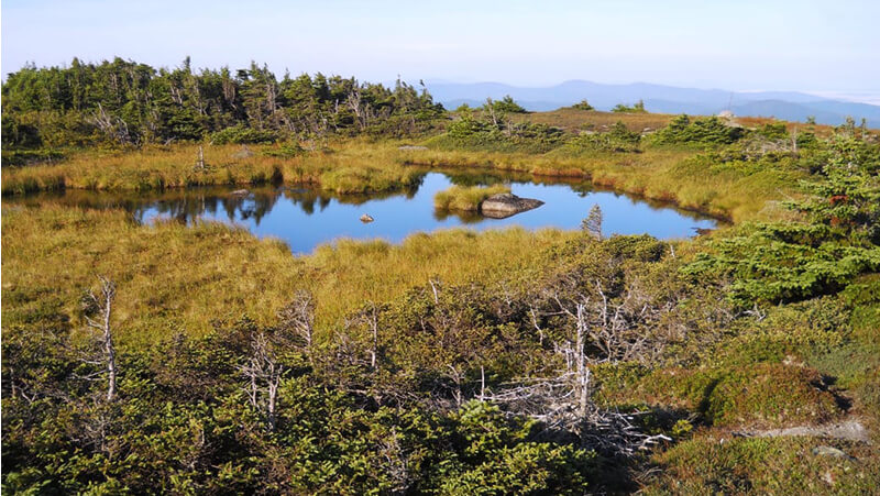 6 Great Appalachian Trail Day Hikes in Maine